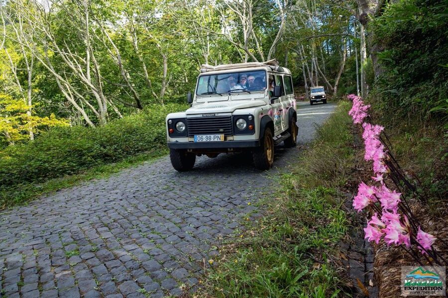 Madeira: Half-Day Nun's Valley and Sea Cliff Tour - From Funchal to the hills above Câmara de Lobos