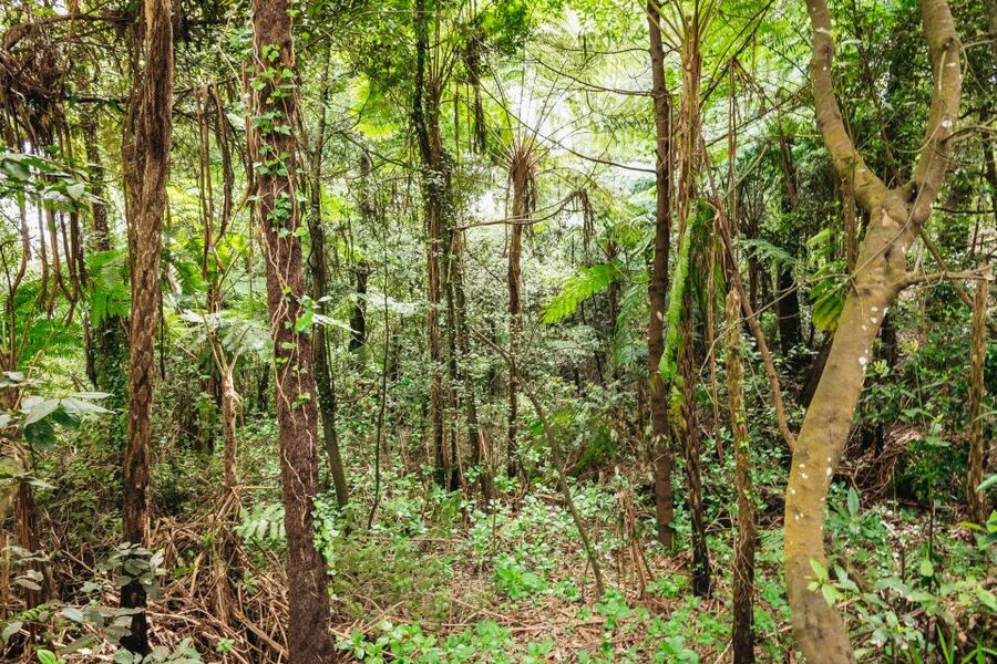 Madeira: Half-Day Pico Arieiro Jeep Tour - A practical half-day plan for a better outing