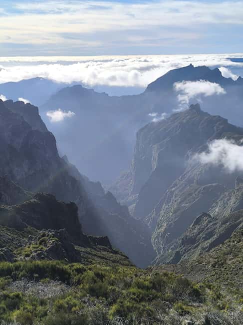 Madeira: Half-Day Pico Arieiro Jeep Tour - The guides are a major part of the value