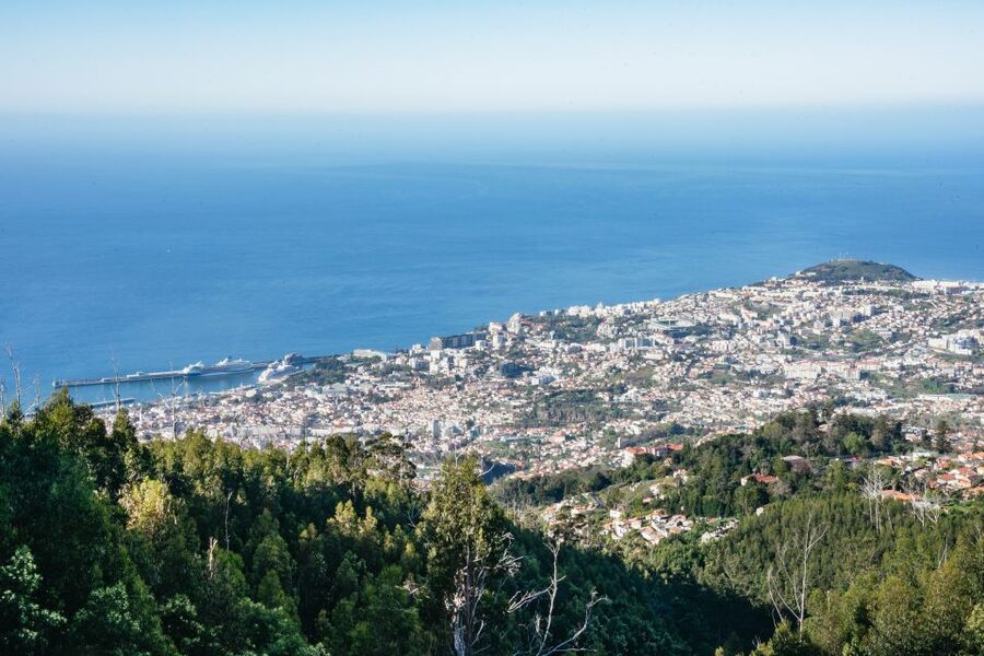 Madeira: Half-Day Pico Arieiro Jeep Tour - Santo da Serra adds farms and a taste of Madeira