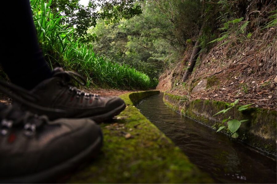 Madeira Island: Caldeirão Verde Levada Walk - Why Caldeirão Verde Makes a Good Madeira Day