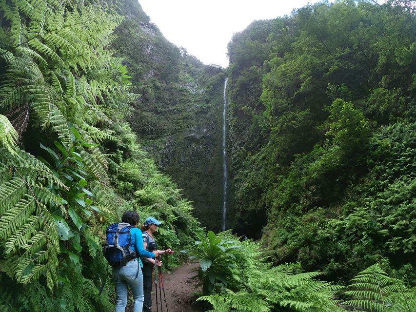 Madeira Island: Caldeirão Verde Levada Walk - The 13km Levada Trail