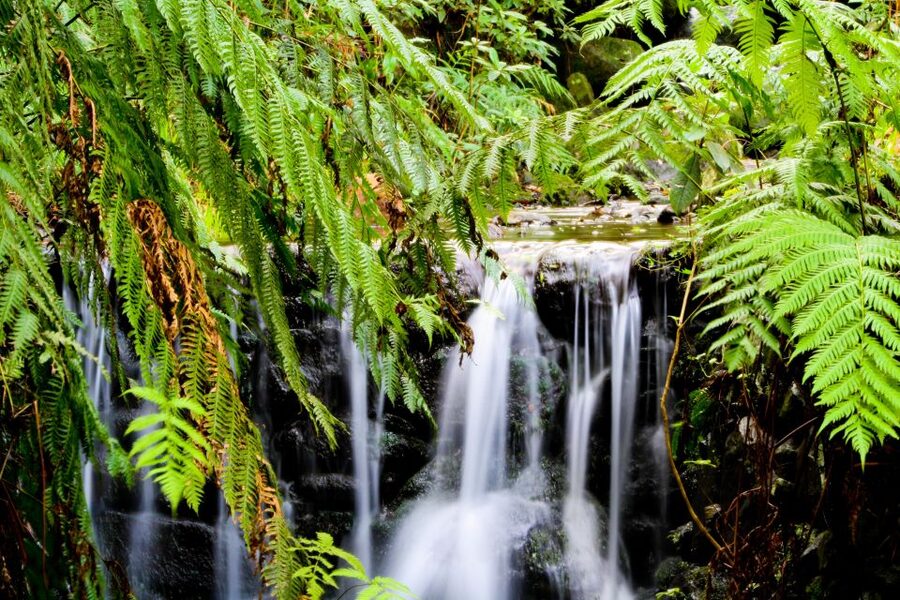 Madeira Island: Caldeirão Verde Levada Walk - Four Tunnels, Wet Rock, and a Little Nerve