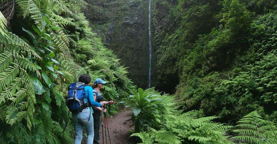 Madeira Island: Caldeirão Verde Levada Walk - The Return Uses the Same Trail