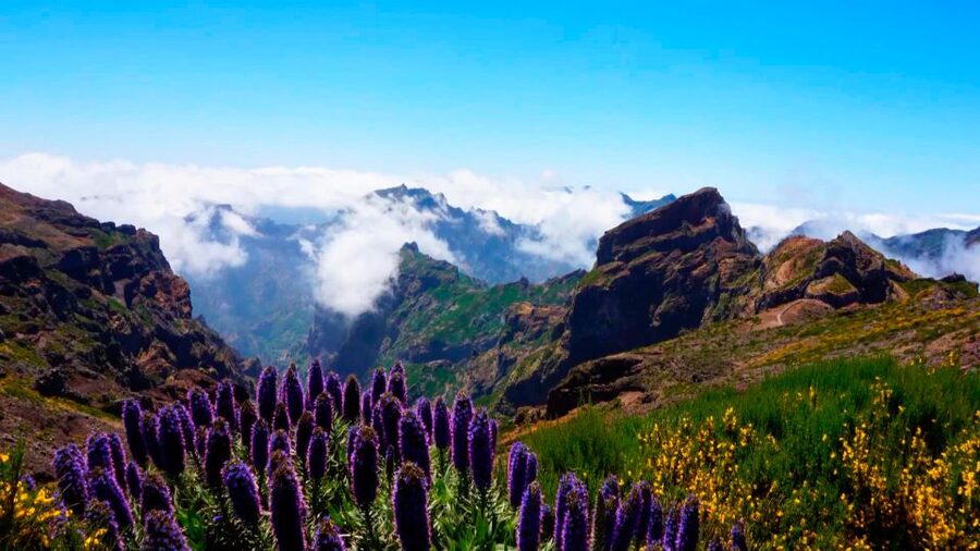 Madeira: Jeep tour Pico Areeiro, Santa Cruz and Cristo Rei - Timing, pickup, and what to bring