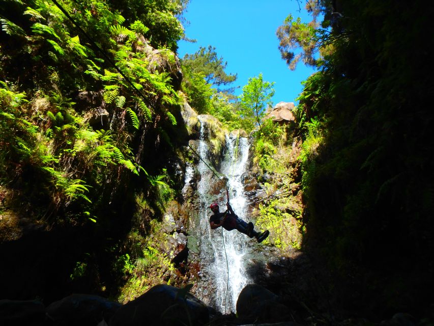 Madeira: Level-1 Canyoning Adventure - Key points to know before booking