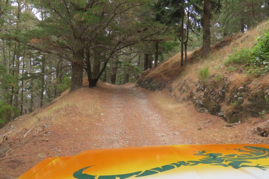 Madeira : Nun's Valleys and Pico Areeiro 4X4 Tour - Should you book the Nun’s Valleys and Pico Areeiro 4x4 Tour?