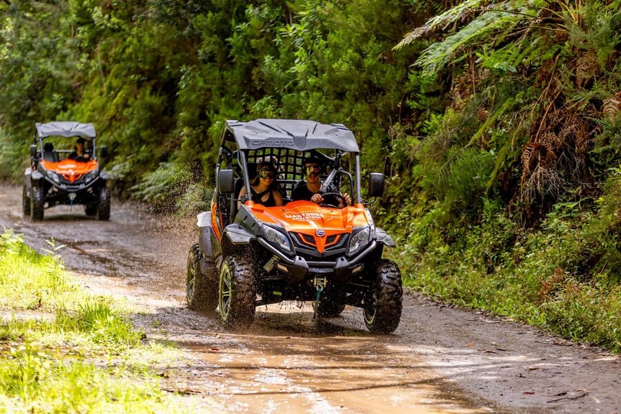 Madeira: Off-Road Buggy Adventure Through Laurissilva Forest - Who should book this Madeira buggy tour?