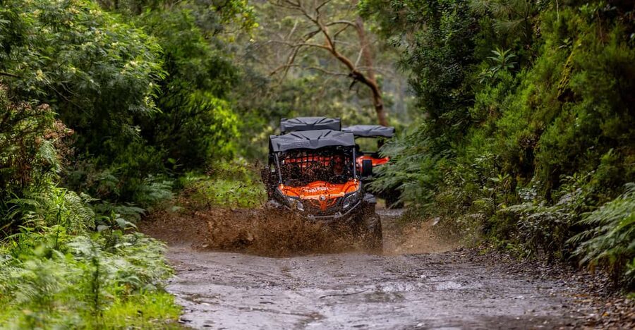 Madeira: Off-Road Buggy Adventure Through Laurissilva Forest - Casa das Funduras and the working side of the forest