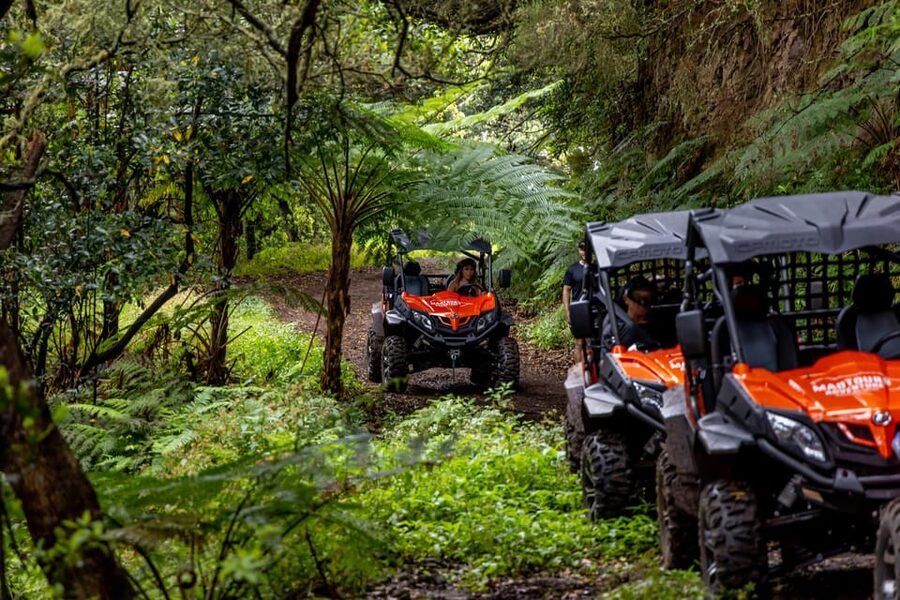 Madeira: Off-Road Buggy Adventure Through Laurissilva Forest - What your $147 buys