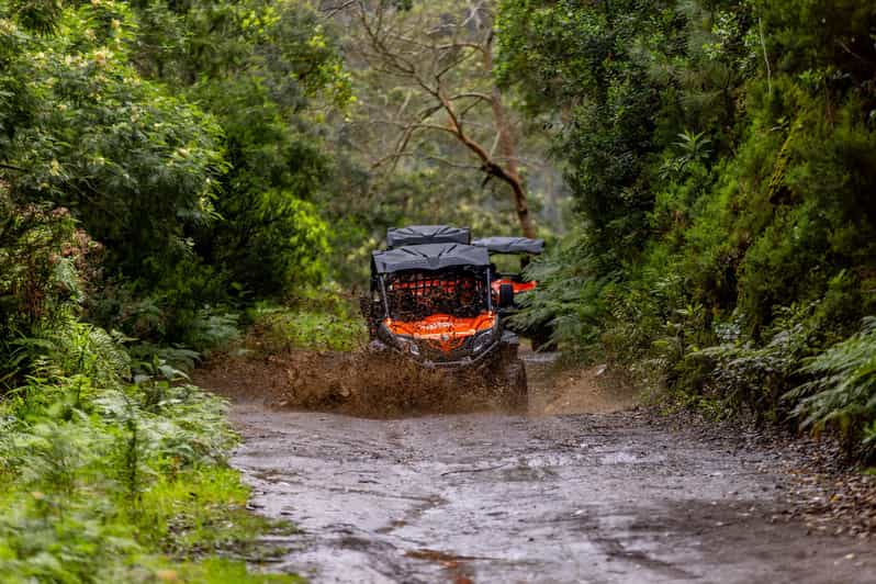 Madeira: Off-Road Buggy Adventure Through Laurissilva Forest - Following the Trilho das Funduras