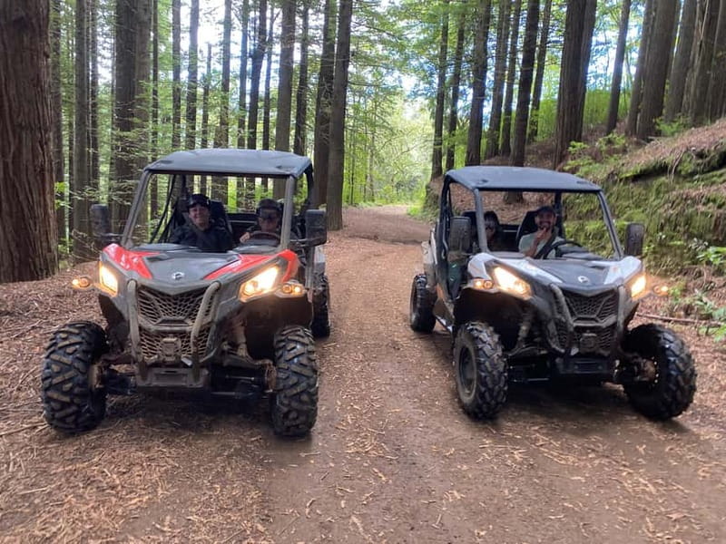 Madeira: Off-Road Buggy Driving Experience - Key points to know before you book