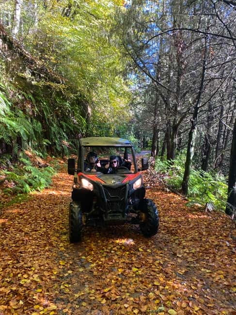 Madeira: Off-Road Buggy Driving Experience - A practical way to prepare