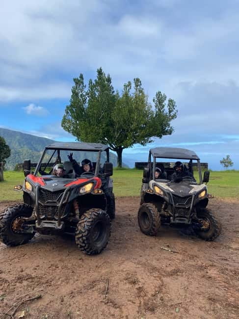 Madeira: Off-Road Buggy Driving Experience - Riding into Madeira’s Laurisilva forest