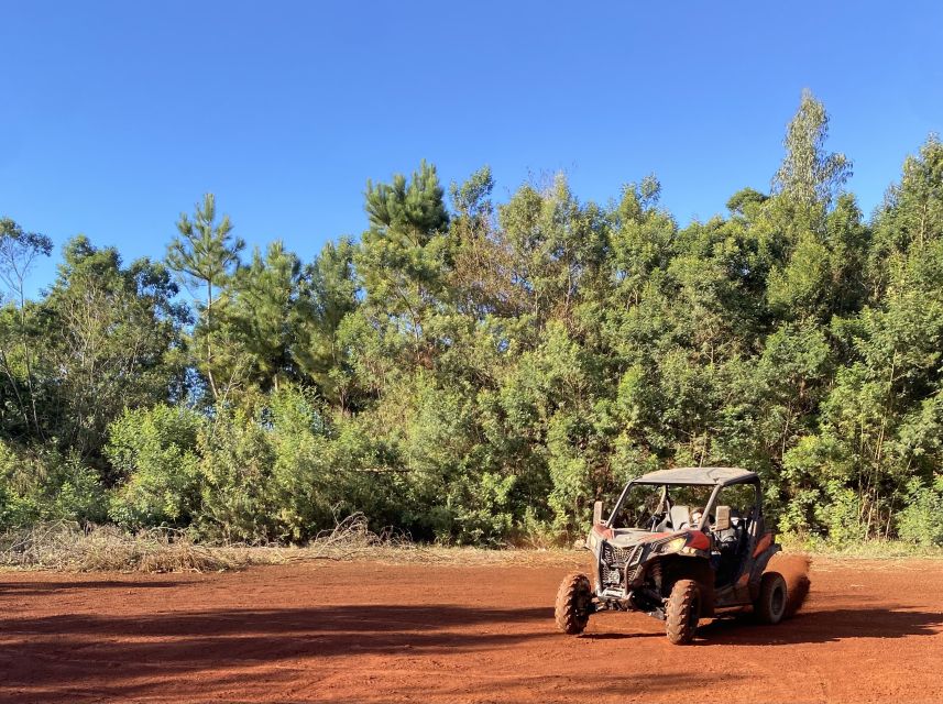 Madeira: Off-Road Buggy Driving Experience - How much value do you get for $171?