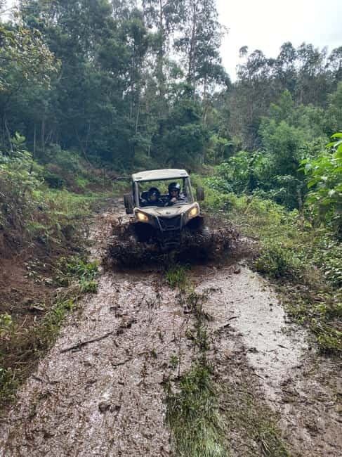 Madeira: Off-Road Buggy Driving Experience - Who should book this Madeira buggy ride?
