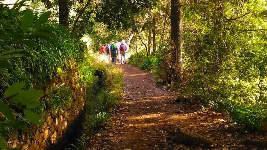 Madeira: Paradise Valley Levada Walk - Key points to know before booking