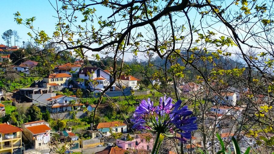 Madeira: Paradise Valley Levada Walk - Who should book this Paradise Valley walk?