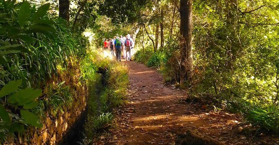 Madeira: Paradise Valley Levada Walk - Following Madeira’s old waterway from Vale do Paraíso