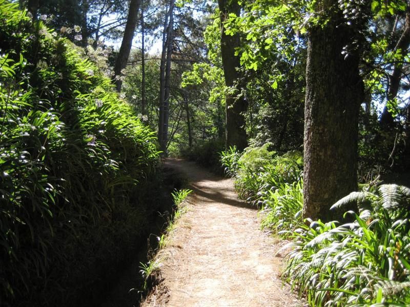 Madeira: Paradise Valley Levada Walk - Gardens and terraces show Madeira at work