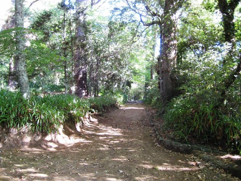 Madeira: Paradise Valley Levada Walk - The view toward Camacha
