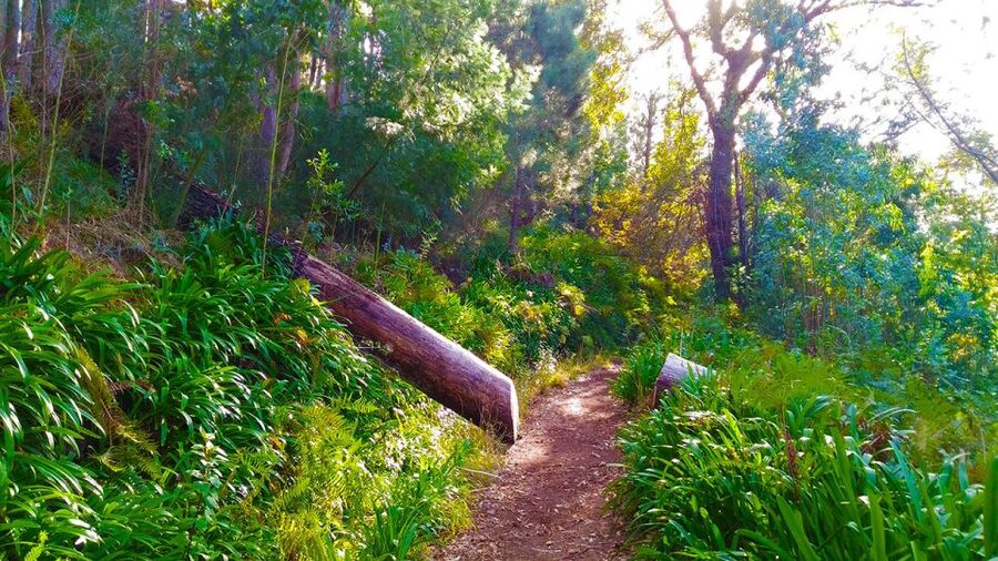 Madeira: Paradise Valley Levada Walk - What to wear for Madeira’s cooler hills