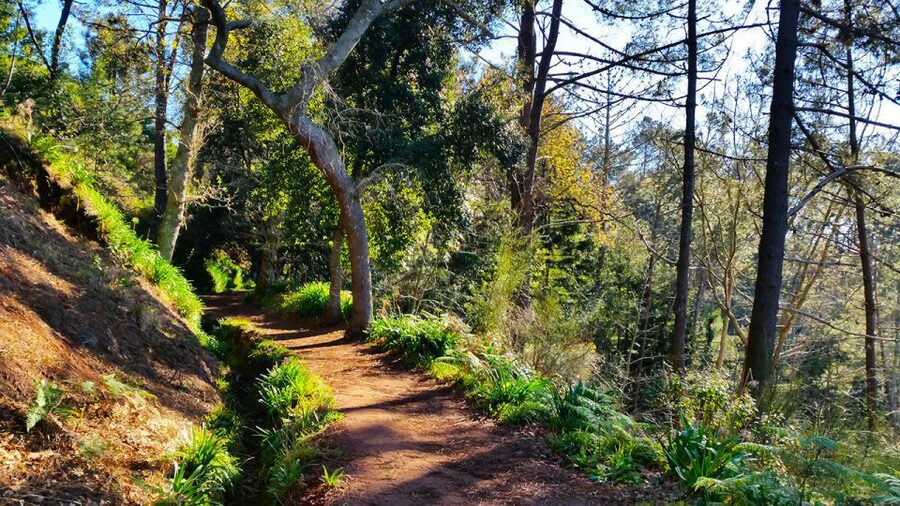 Madeira: Paradise Valley Levada Walk - Is $38 a fair price?