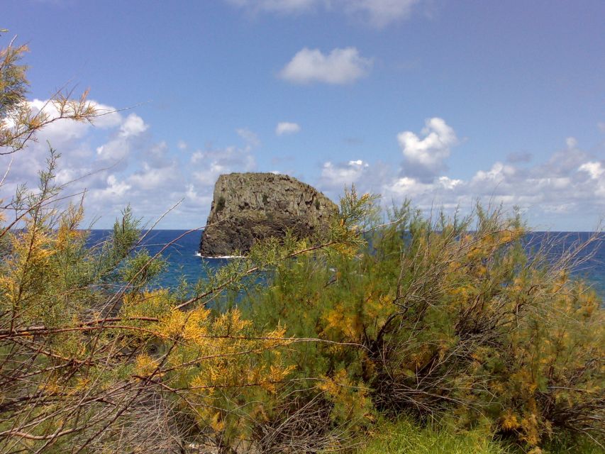 Madeira: Pico do Arieiro & Laurissilva Forest - East tour - Why this east Madeira tour works