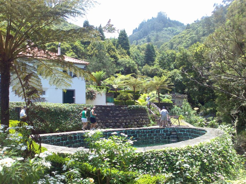 Madeira: Pico do Arieiro & Laurissilva Forest - East tour - Walking beneath the Laurissilva canopy
