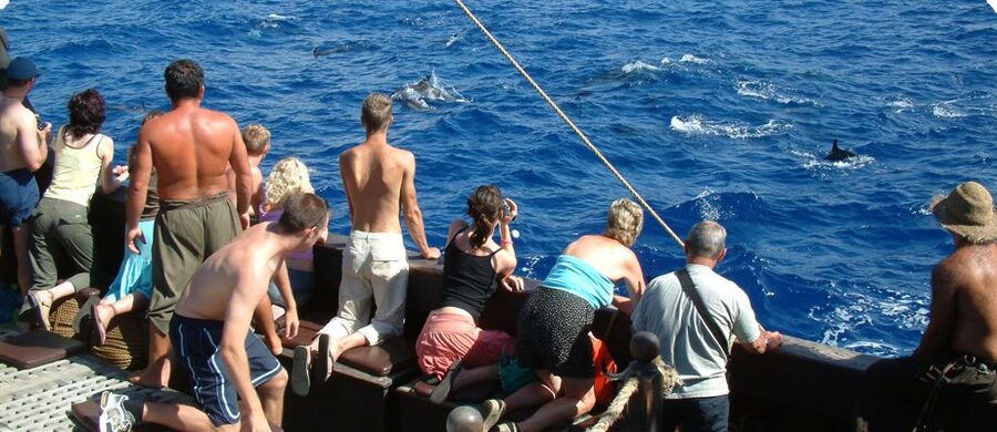 Madeira Pirate Ship: 3-Hour Boat Trip - Key Points Before You Book