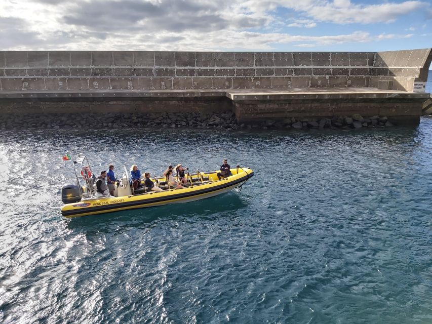 Madeira: Ponta de São Lourenço Lighthouse Boat Tour - The sea caves, Elephant Rock, and route options