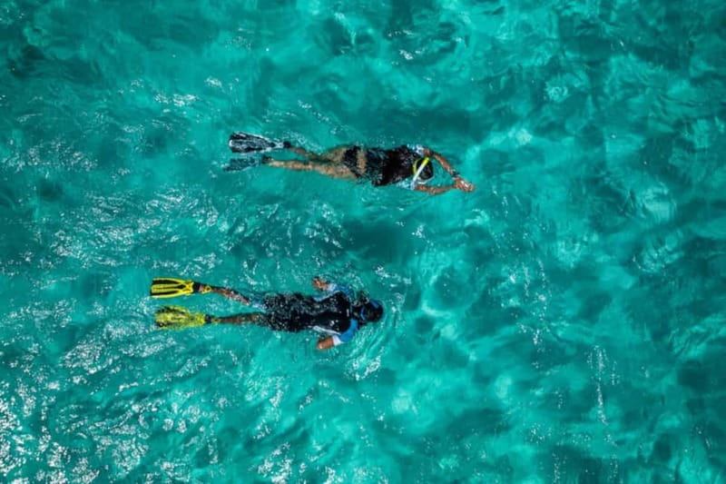 Madeira: Ponta de São Lourenço Snorkeling Boat Trip - Key points before you book