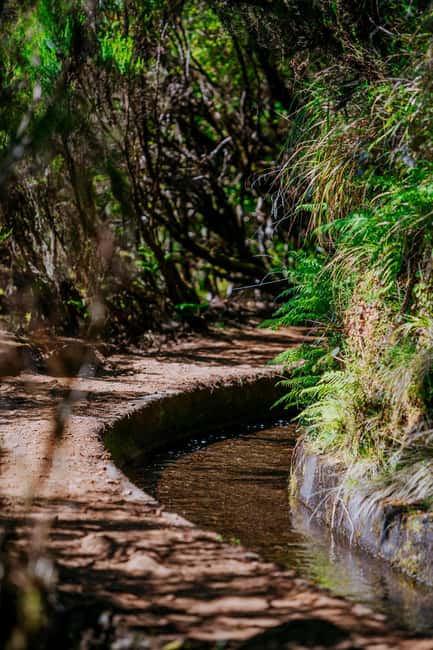 Madeira: PR 18 - Levada do Rei Hike Transfer - Starting among farms and forest