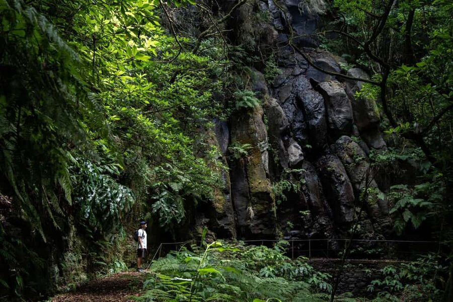 Madeira: PR 9 - Levada do Caldeirão Verde Hike Transfer - What the $47 price really buys you
