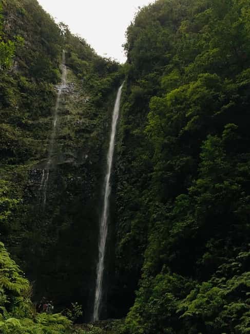 Madeira: PR 9 - Levada do Caldeirão Verde Hike Transfer - Following the levada through Laurissilva Forest