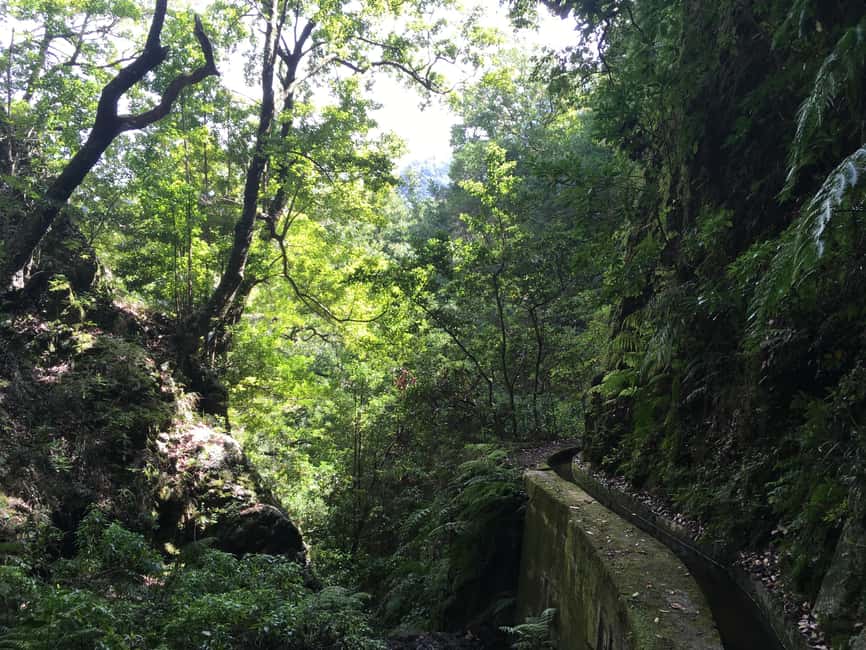 Madeira: PR 9 - Levada do Caldeirão Verde Hike Transfer - What to pack for a safer, happier walk