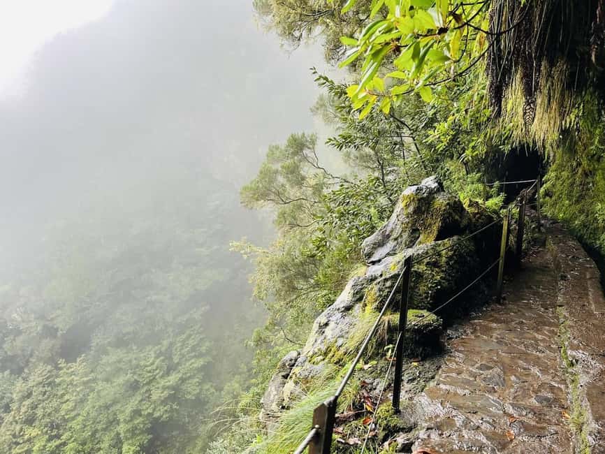 Madeira: PR 9 - Levada do Caldeirão Verde Hike Transfer - Pickup from Funchal, Caniço, or Garajau