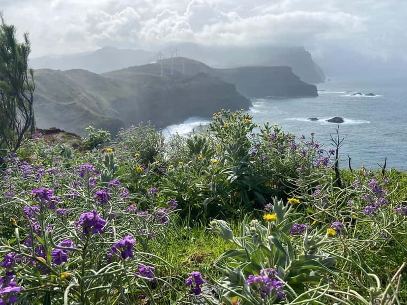 Madeira: PR8 -Ponta de São Lourenço Natural Reserve Transfer - Should you book the PR8 transfer?