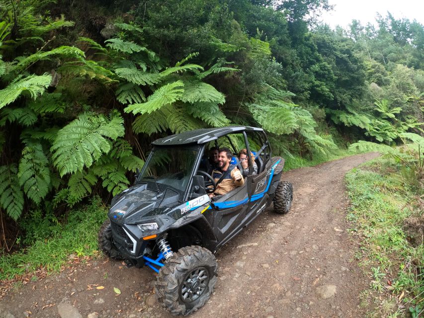 Madeira Private Buggy Adventure: Mountains and Forests - Key points at a glance