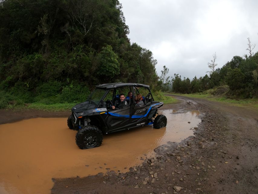 Madeira Private Buggy Adventure: Mountains and Forests - Who will enjoy this most?