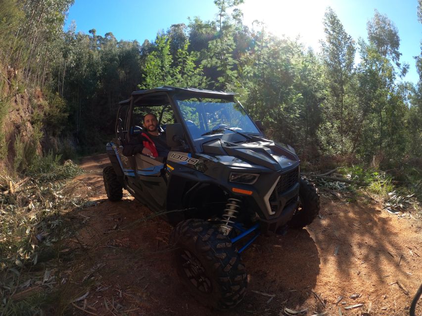 Madeira Private Buggy Adventure: Mountains and Forests - From Funchal to Madeira’s high country