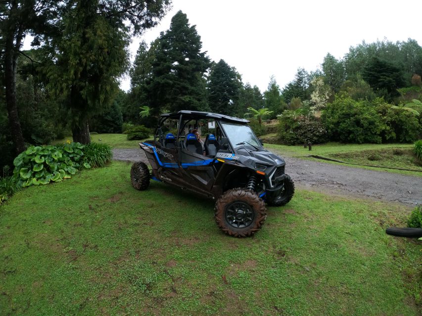 Madeira Private Buggy Adventure: Mountains and Forests - Pico do Suna and Lamaceiros Lagoon