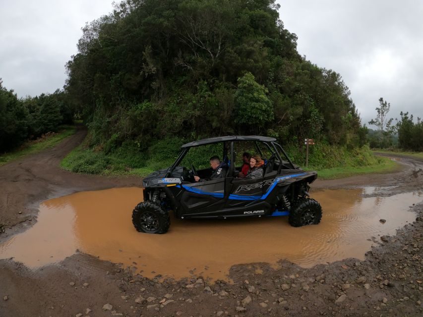 Madeira Private Buggy Adventure: Mountains and Forests - The Serra das Funduras forest trail