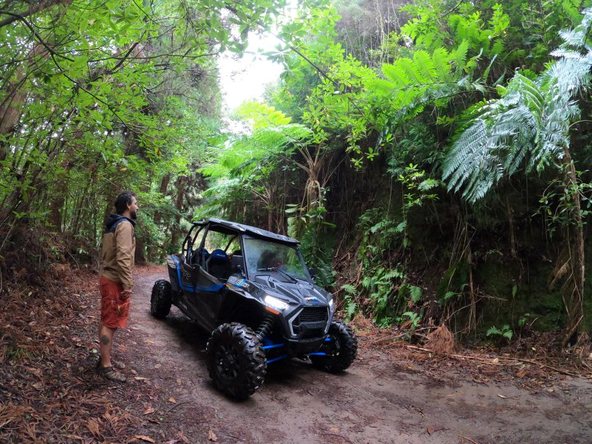 Madeira Private Buggy Adventure: Mountains and Forests - How much value do you get for $212?