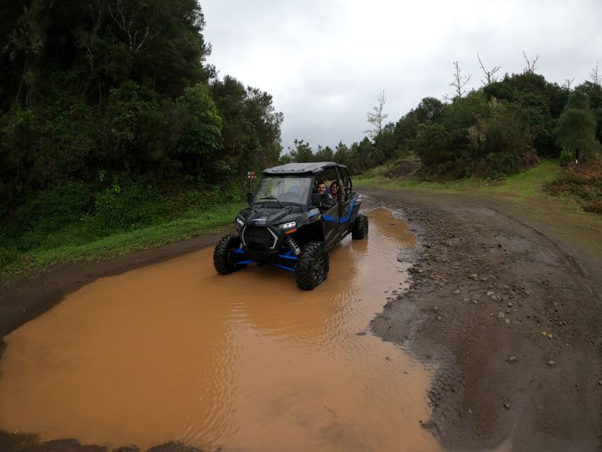 Madeira Private Buggy Adventure: Mountains and Forests - Pico Alto and Poiso: Madeira from above