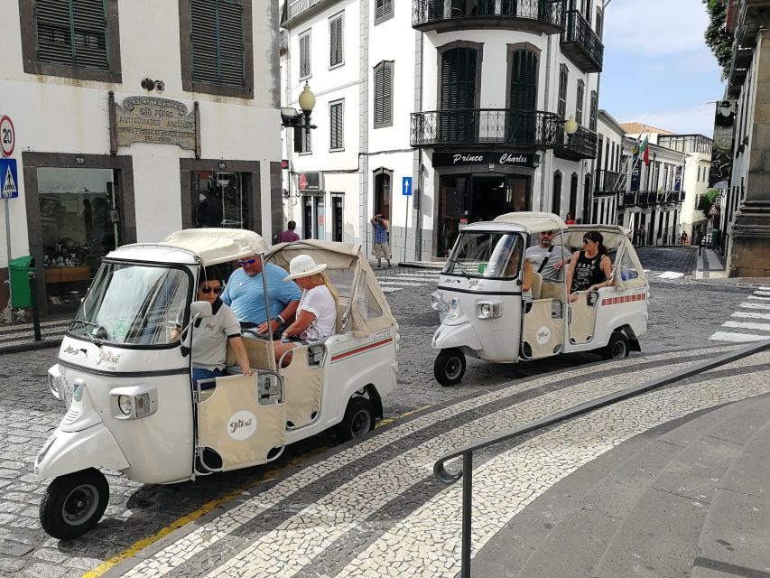 Madeira: Private Funchal City Tour in a Tukxi - What the guides add to the ride