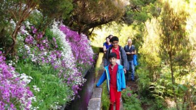 Rabaçal 25 Fountains Levada Walk & Cabo Girão