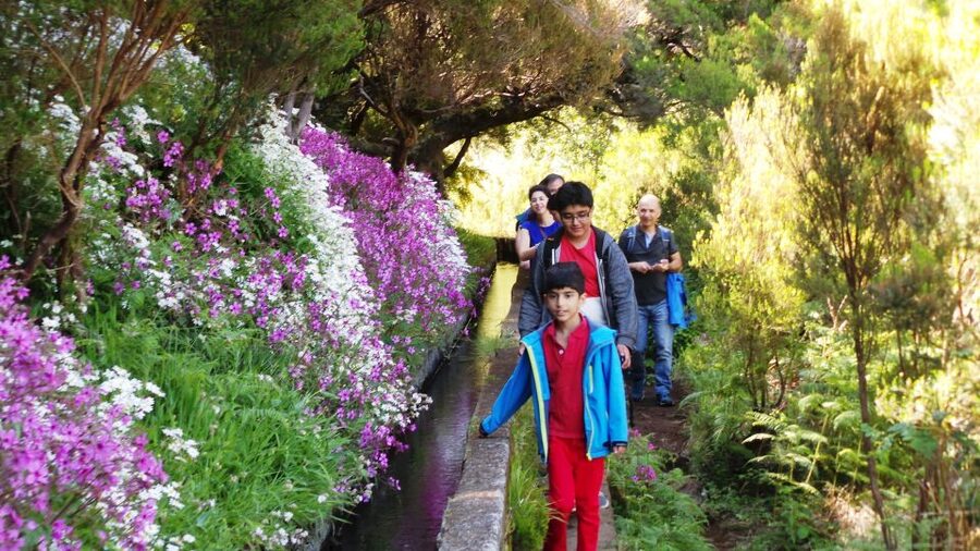 Madeira: Rabaçal 25 Fountains Levada Walk & Cabo Girão - Calheta and the road toward Rabaçal