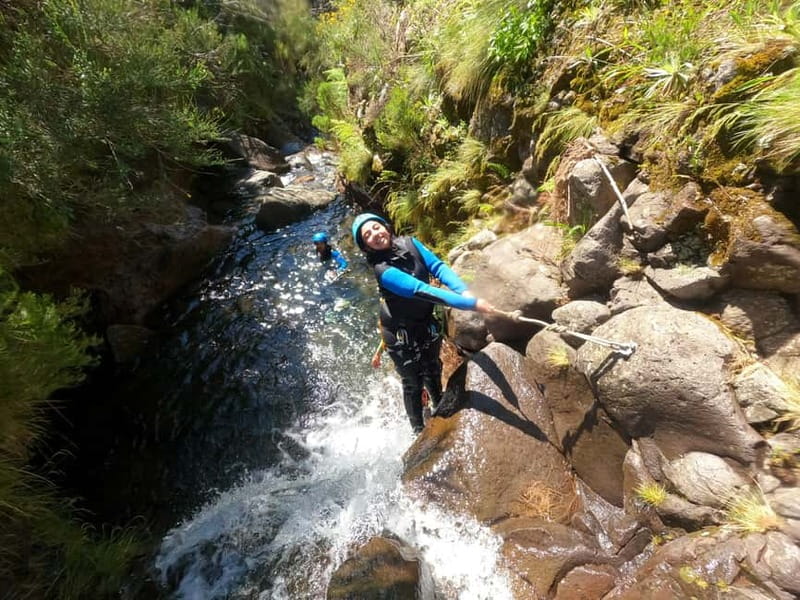 Madeira : Ribeira das Cales Canyoning (Level 1) - Key points to know before you book