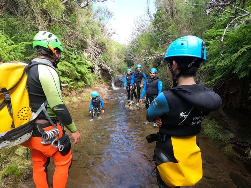 Madeira : Ribeira das Cales Canyoning (Level 1) - From Funchal or Caniço to the Ecological Park